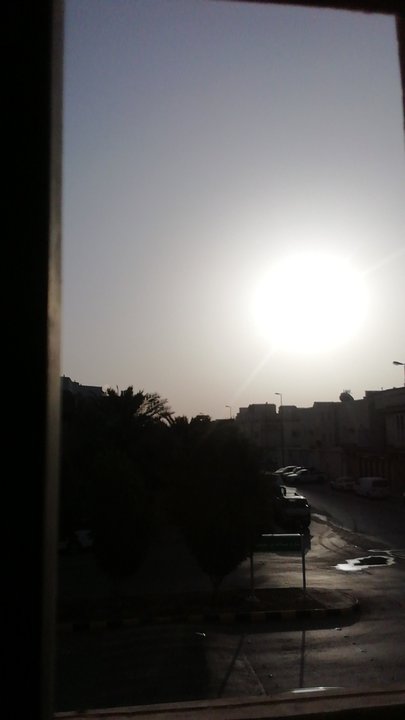 مشاركاتي في أنت الراصد