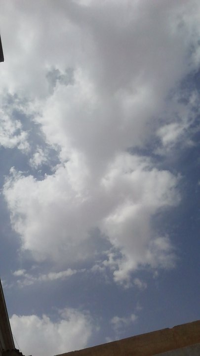 مشاركاتي في أنت الراصد