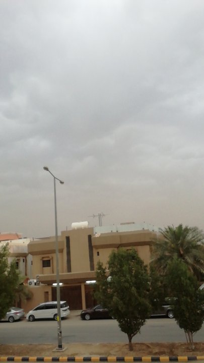 مشاركاتي في أنت الراصد