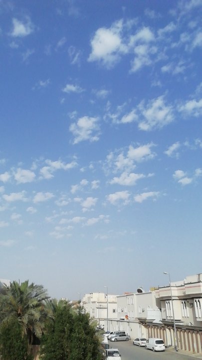 مشاركاتي في أنت الراصد