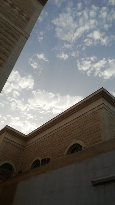 مشاركاتي في أنت الراصد