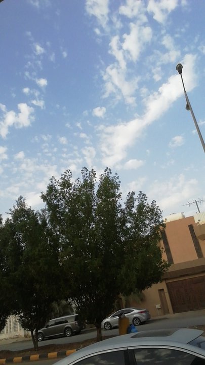 مشاركاتي في أنت الراصد