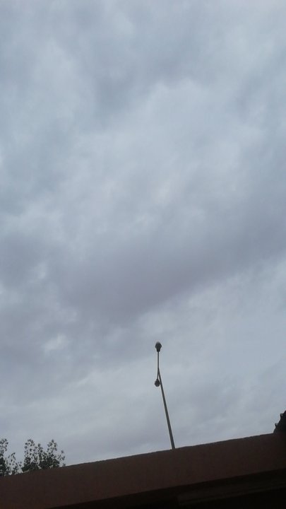 مشاركاتي في أنت الراصد