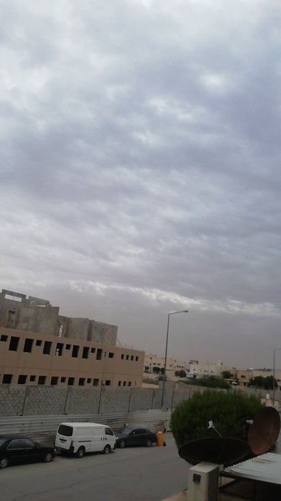 مشاركاتي في أنت الراصد