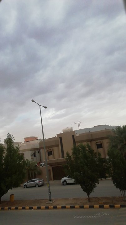 مشاركاتي في أنت الراصد