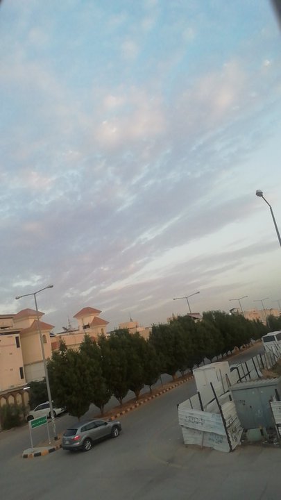 مشاركاتي في أنت الراصد