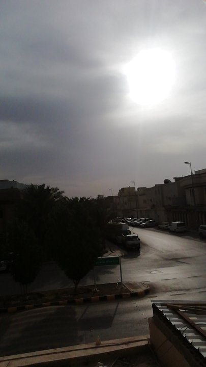 مشاركاتي في أنت الراصد