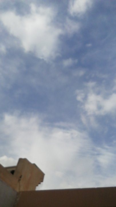 مشاركاتي في أنت الراصد