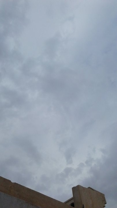 مشاركاتي في أنت الراصد