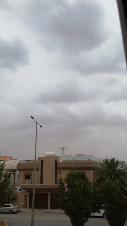 مشاركاتي في أنت الراصد