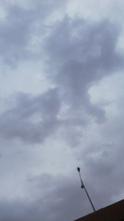 مشاركاتي في أنت الراصد