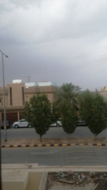 مشاركاتي في أنت الراصد