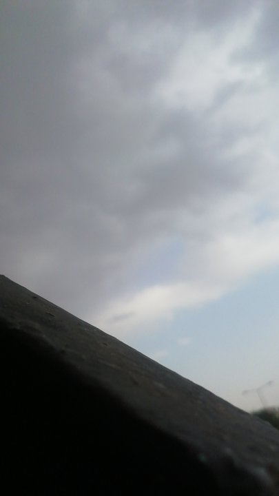 مشاركاتي في أنت الراصد