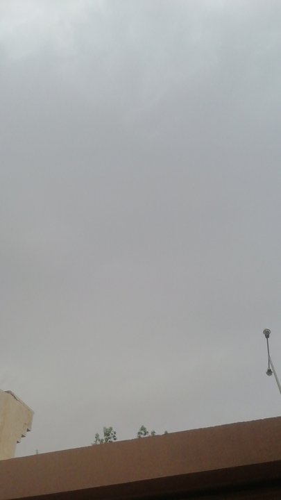 مشاركاتي في أنت الراصد