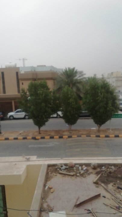 مشاركاتي في أنت الراصد