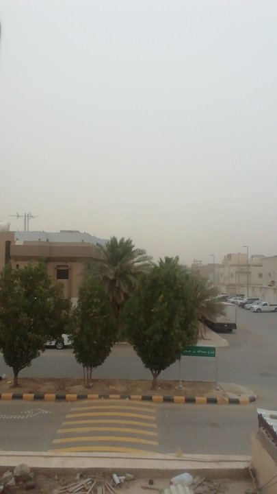 مشاركاتي في أنت الراصد