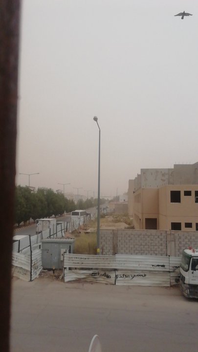 مشاركاتي في أنت الراصد