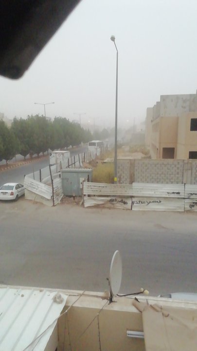 مشاركاتي في أنت الراصد