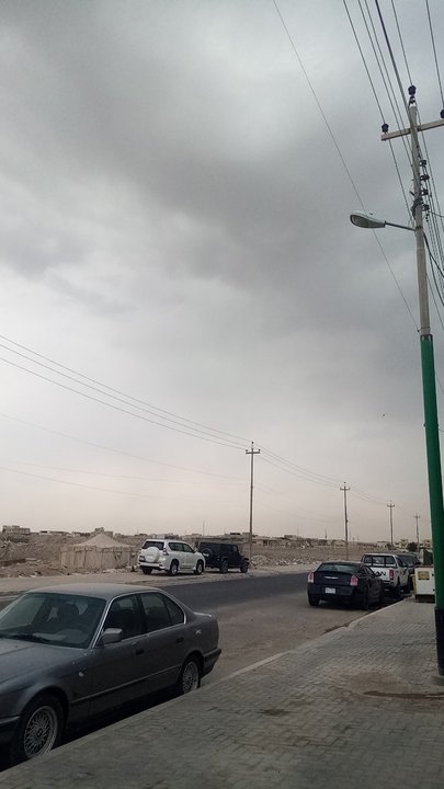 مشاركاتي في أنت الراصد