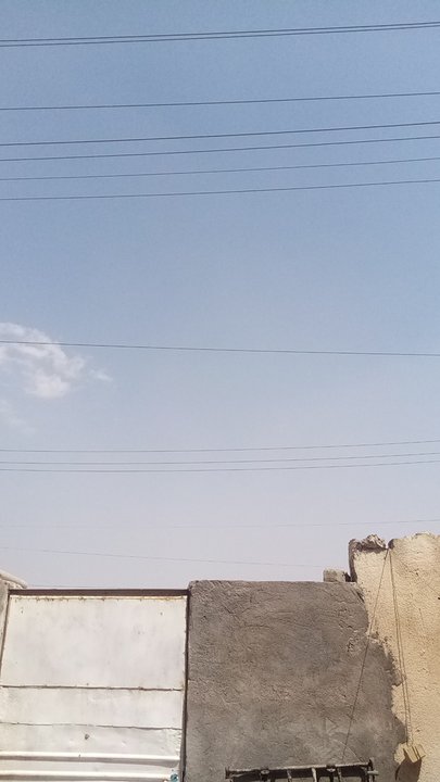 مشاركاتي في أنت الراصد