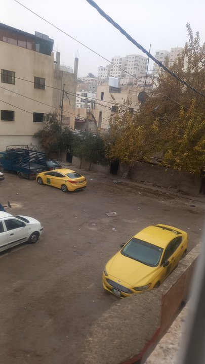 مشاركاتي في أنت الراصد