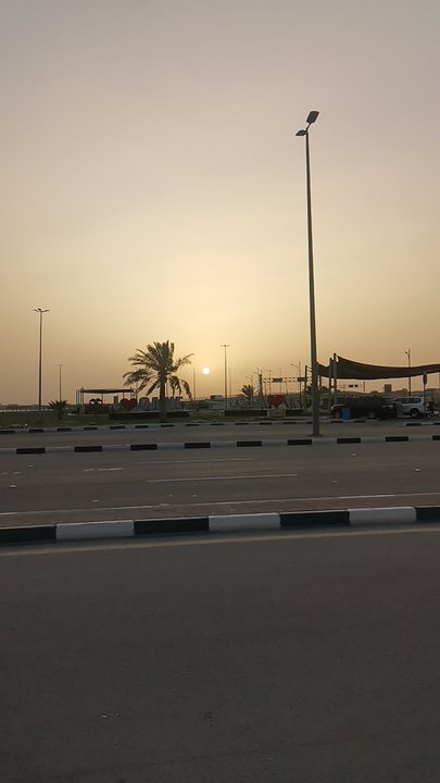 مشاركاتي في أنت الراصد