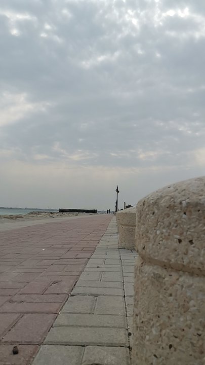 مشاركاتي في أنت الراصد