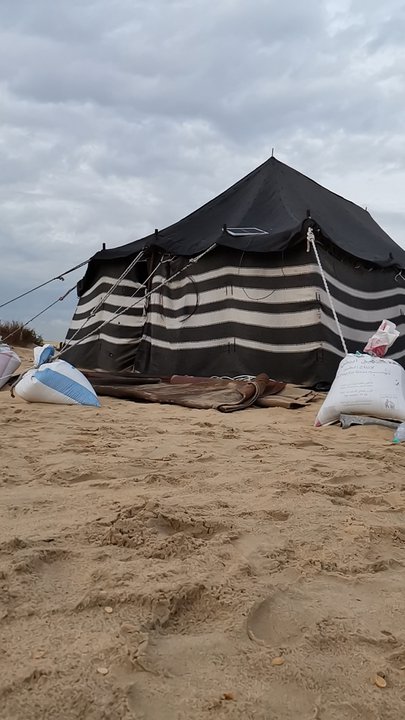 مشاركاتي في أنت الراصد