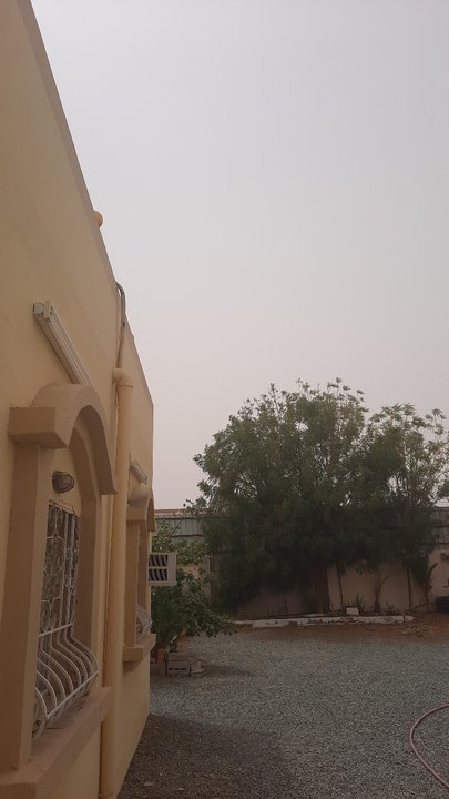 مشاركاتي في أنت الراصد