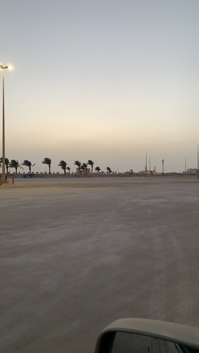 مشاركاتي في أنت الراصد