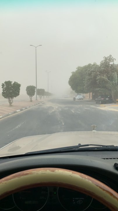 مشاركاتي في أنت الراصد