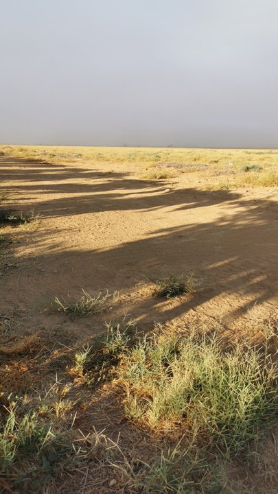 مشاركاتي في أنت الراصد