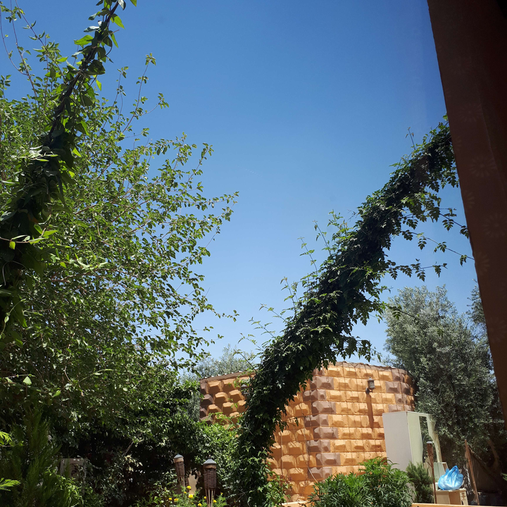 مشاركاتي في أنت الراصد