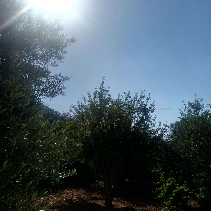 My Crowdsourcing Posts