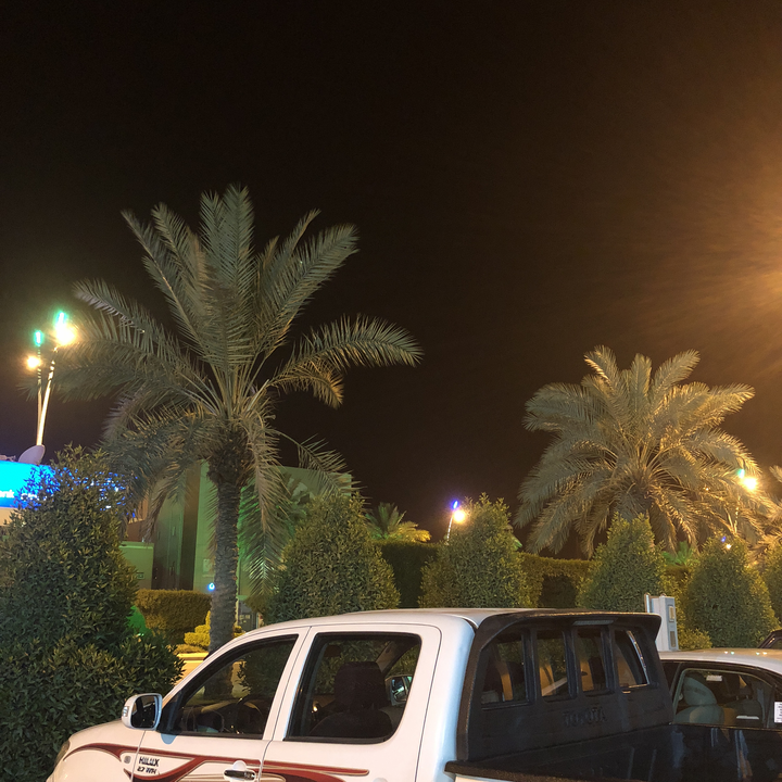 مشاركاتي في أنت الراصد