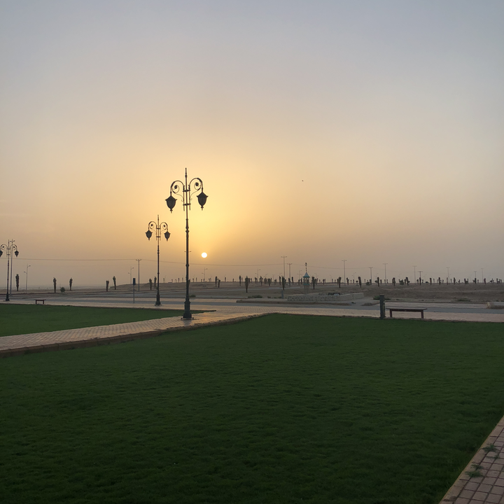 مشاركاتي في أنت الراصد