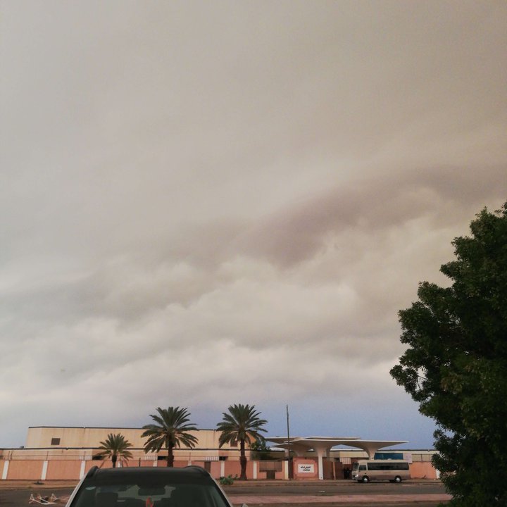 مشاركاتي في أنت الراصد