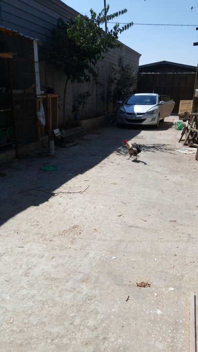 Mes publications Crowdsourcing