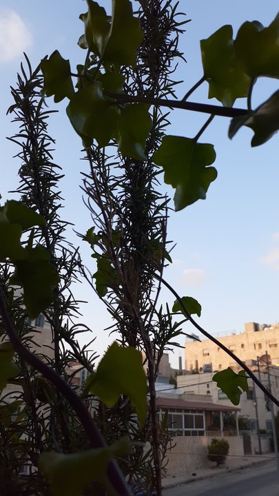 My Crowdsourcing Posts