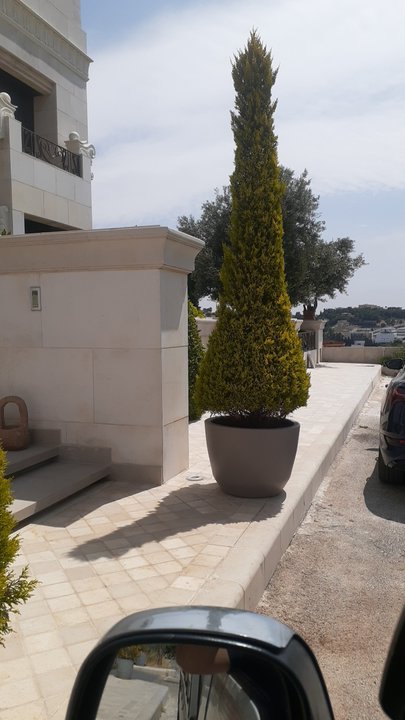 Mes publications Crowdsourcing