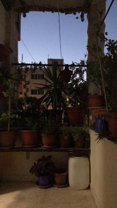 مشاركاتي في أنت الراصد