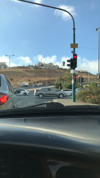 مشاركاتي في أنت الراصد