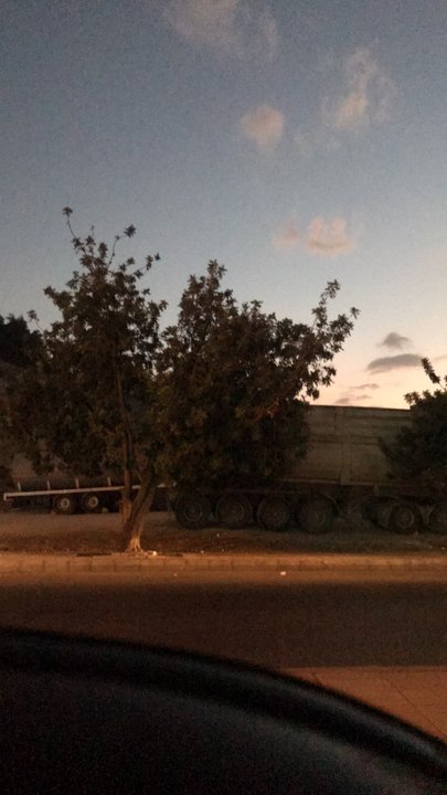 مشاركاتي في أنت الراصد