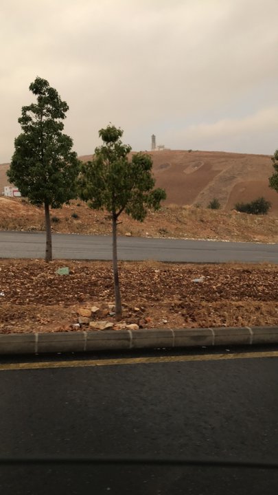 مشاركاتي في أنت الراصد