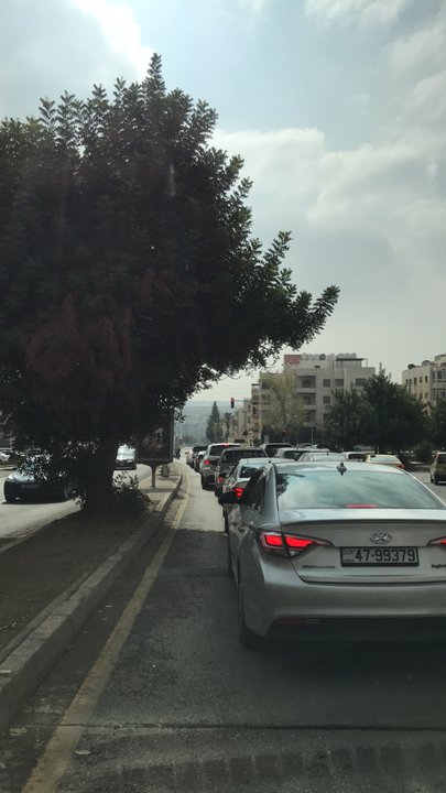 مشاركاتي في أنت الراصد