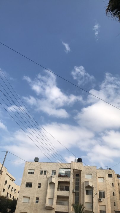 مشاركاتي في أنت الراصد