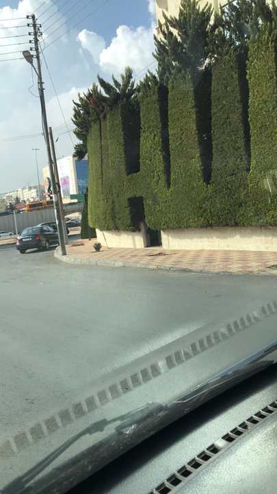 مشاركاتي في أنت الراصد