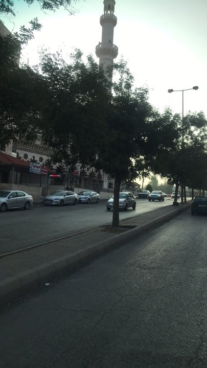 مشاركاتي في أنت الراصد