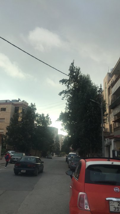 مشاركاتي في أنت الراصد