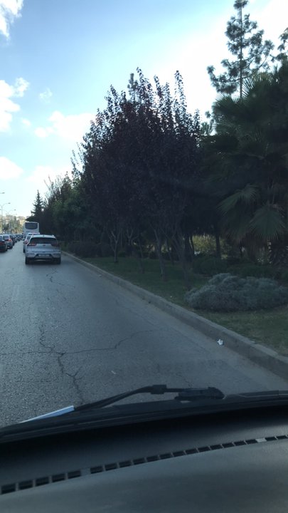 مشاركاتي في أنت الراصد